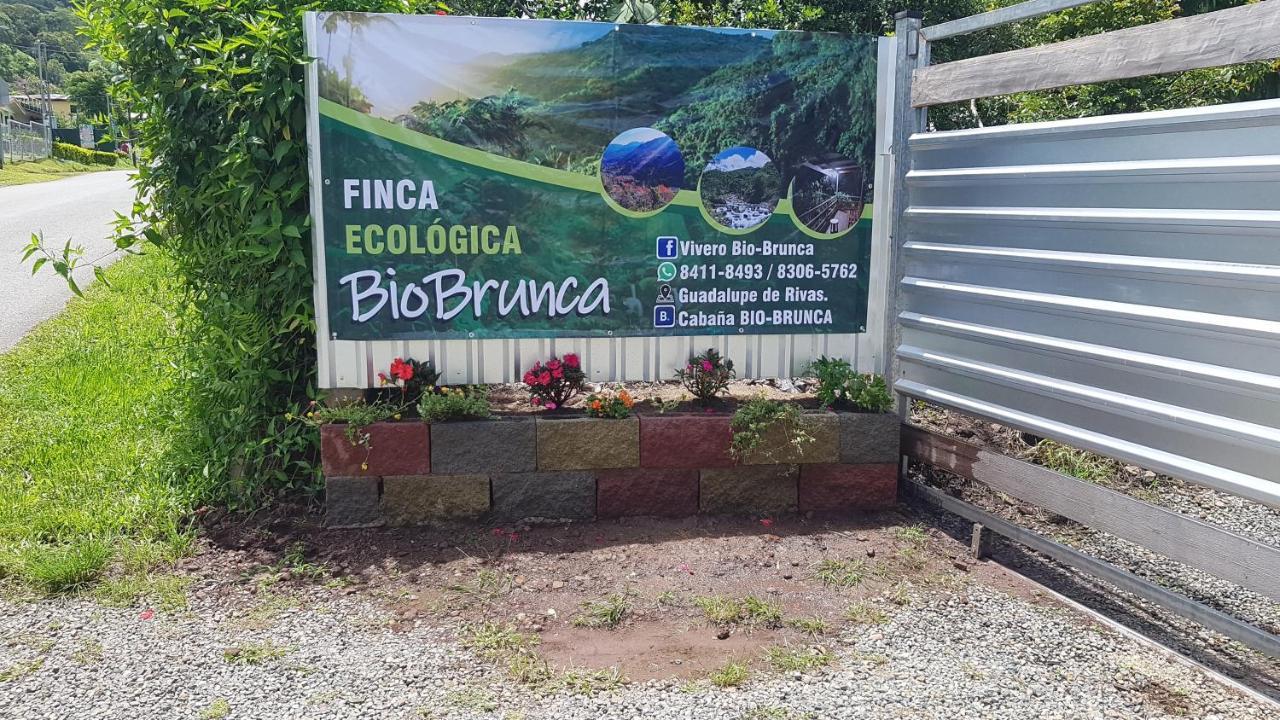 Bio-brunca Apartment